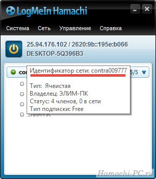 Идентификатор сети в Hamachi
