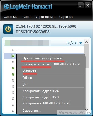 Тест сети в Хамачи
